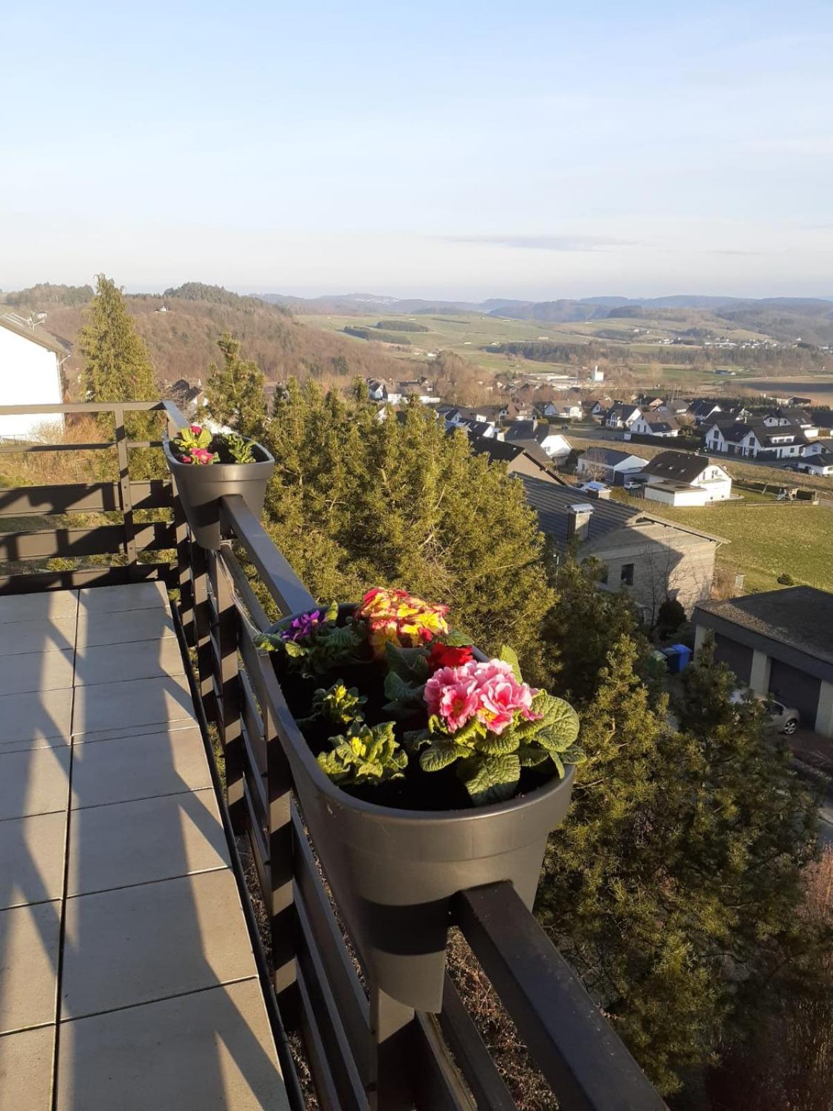 Ferienwohnungen Sternenhimmel Whg 1 Медебах Екстериор снимка